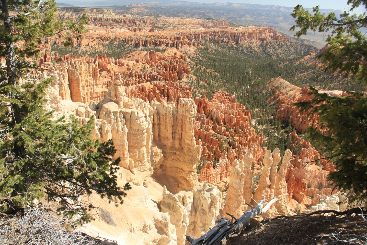 Bryce Point to Inspiration Point 